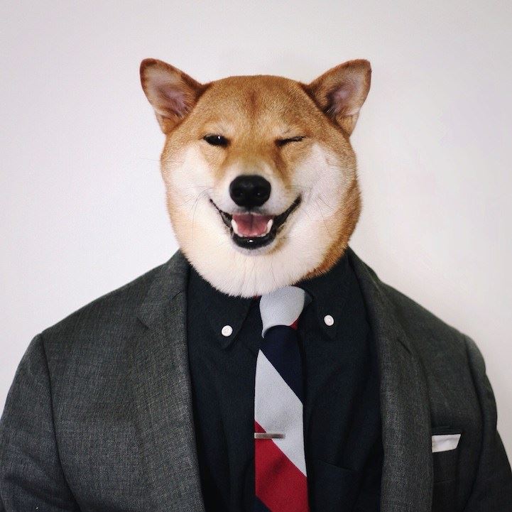 mensweardog3